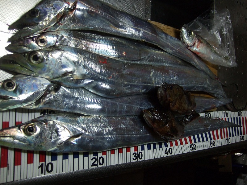 �^�`�E�I�̕����ނ� ���ނ̎d�|�@���낢��������