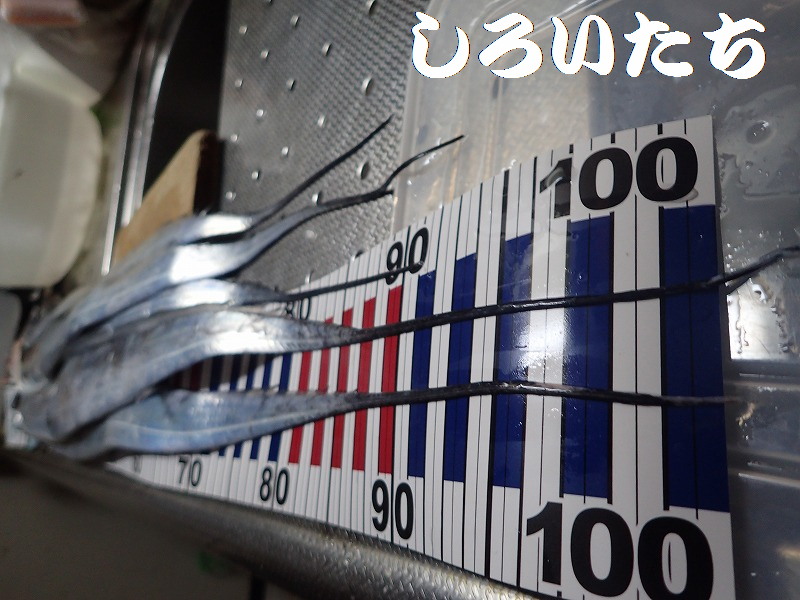 �^�`�E�I�̕����ނ� ���ނ̎d�|�@���낢��������