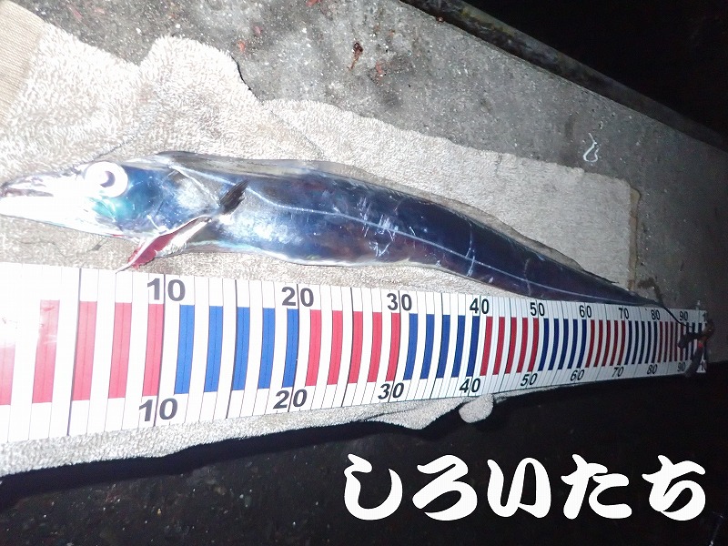 �^�`�E�I�̕����ނ� ���ނ̎d�|�@���낢��������