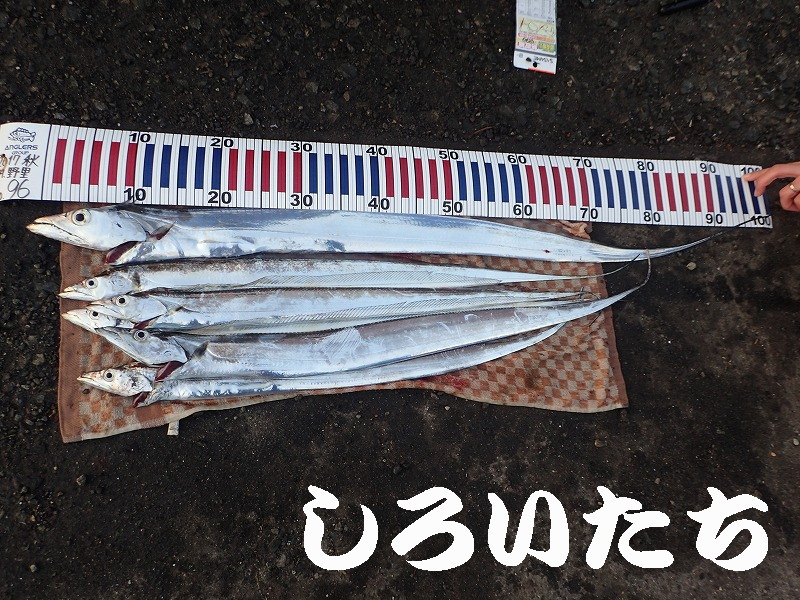 �^�`�E�I�̕����ނ� ���ނ̎d�|�@���낢��������